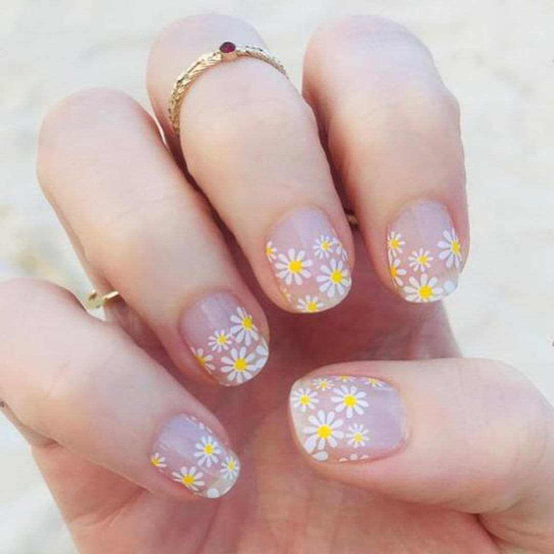 Delicate Daisies (Transparent)-Adult Nail Wraps-Outlined